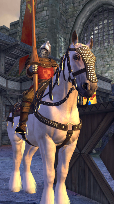 review rival knights limba romana firstplayro (13)