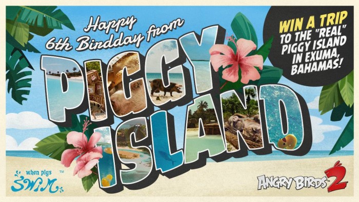 concurs angry birds excursie bahamas